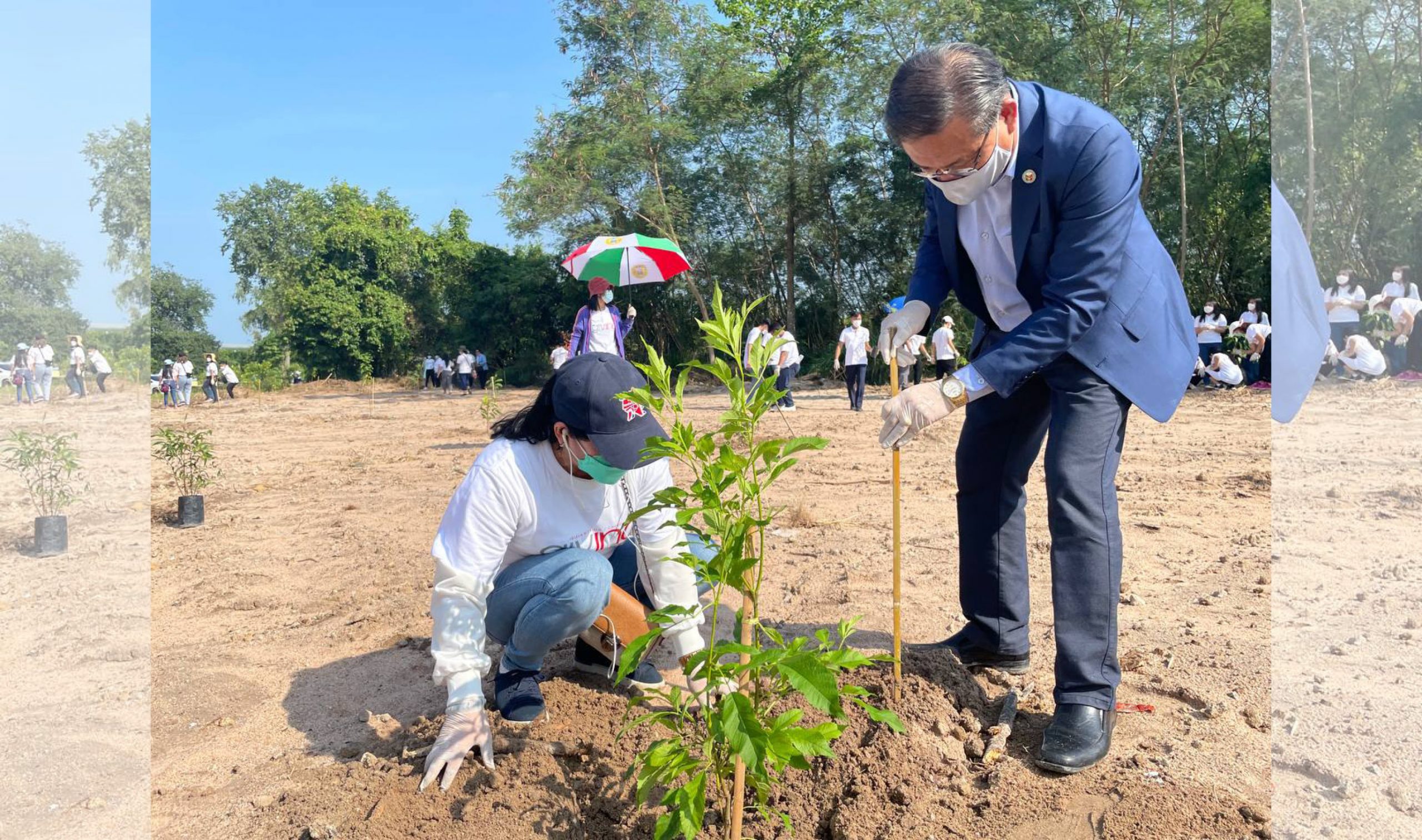 Thailand brethren go green, plant saplings in Rayong